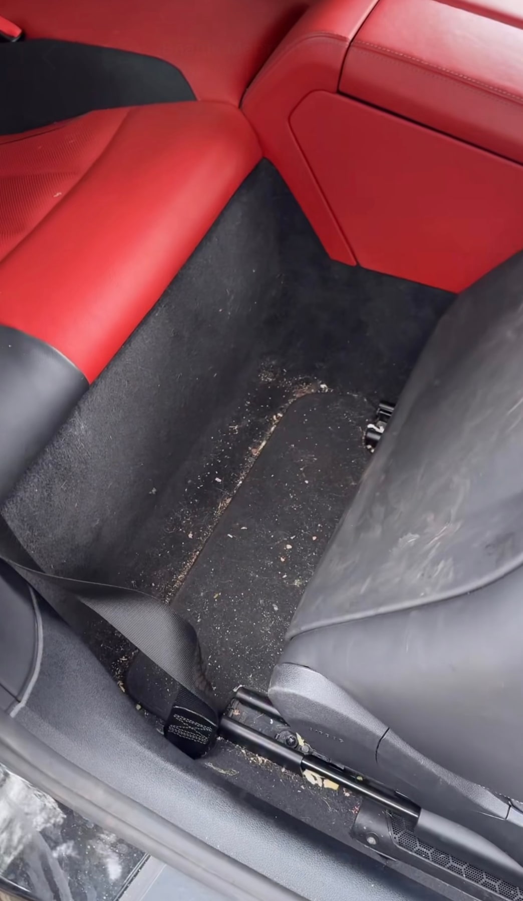 Moquette posteriore BMW prima della pulizia